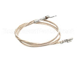 2J-Z16944 Wells Probe Temp-Rtd-20 Leads