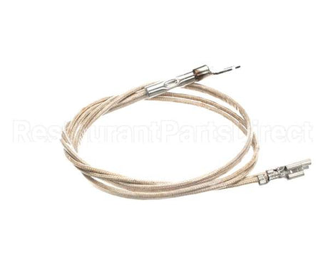 2J-Z16944 Wells Probe Temp-Rtd-20 Leads