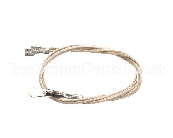 2J-Z16944 Wells Probe Temp-Rtd-20 Leads