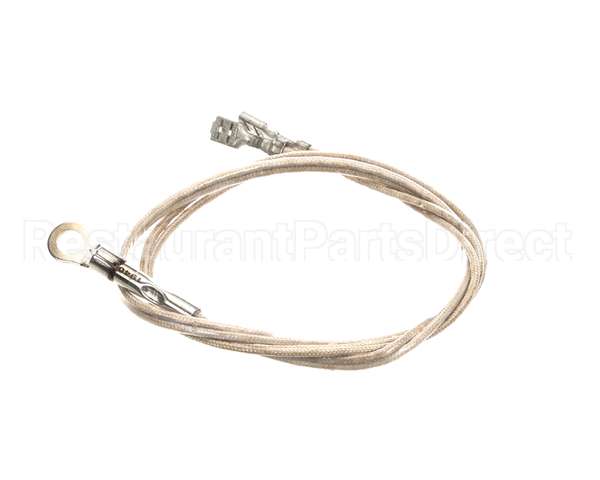 2J-Z16944 Wells Probe Temp-Rtd-20 Leads