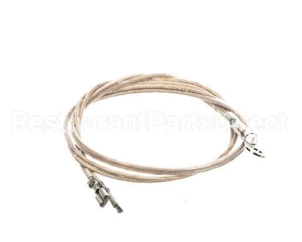 2J-Z16944 Wells Probe Temp-Rtd-20 Leads