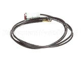 2S-Z3823 Star Indicator Light, 120V