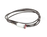 2S-Z3823 Star Indicator Light, 120V