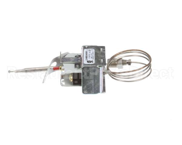 2T-307574 Wells Thermo Saf Man Reset Stnd