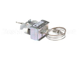 2T-307574 Wells Thermo Saf Man Reset Stnd