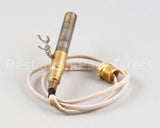 2T-42195 Wells Thermopile Fgs-40