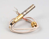 2T-42195 Wells Thermopile Fgs-40