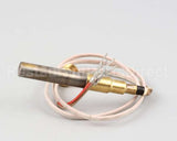 2T-42195 Wells Thermopile Fgs-40