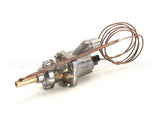 2T-Z13362 Wells Thermostat