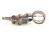 2T-Z13362 Wells Thermostat