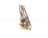 2T-Z13362 Wells Thermostat