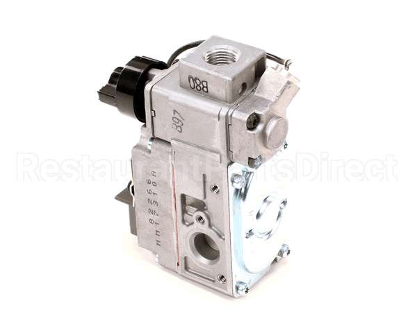 2V-301966 Wells Valve Gas Wg2424-3048