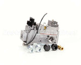 2V-80505-01 Lang Comb Valve Gas Grid