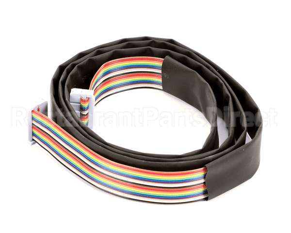 3.1.04.01.003 Spaceman Usa Electric-20 Pin Ribbon Cable