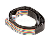 3.1.04.01.003 Spaceman Usa Electric-20 Pin Ribbon Cable