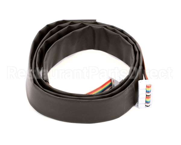 3.1.04.01.003 Spaceman Usa Electric-20 Pin Ribbon Cable