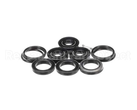300-3603 Spray Master Seal Kit, Pump 2.2 & 2.9 Gpm, Cat