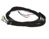 3000011988 Jade Wire Harness, Jade Conv Oven -