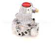 3000012818 Jade Valve, Safety Baso H15Cq-3