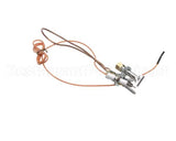 3000013480 Jade Pilot W Electrode & Thermocoup