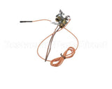 3000013480 Jade Pilot W Electrode & Thermocoup