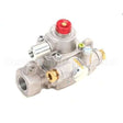3000013481 Compatible Jade Safetyvalve, Ts11