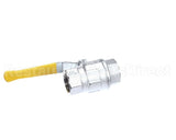 3000013816 Jade Valve, 1X1 Female,Chrome