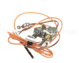3000014113 Jade Pilot W/Elect&Thermo Assy