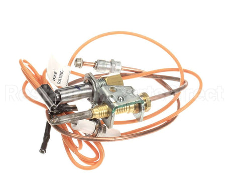 3000014113 Jade Pilot W/Elect&Thermo Assy