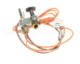 3000014113 Jade Pilot W/Elect&Thermo Assy