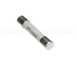 30025528 Flexeserve Fuse 6.3Amp
