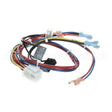300982 Compatible Frymaster Wireharness, Util.conn