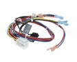 300982 Frymaster Wire Harness, Util.conn.