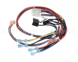 300982 Frymaster Wire Harness, Util.conn.