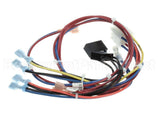 300982 Frymaster Wire Harness, Util.conn.