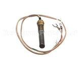 301030006 Atosa Thermocouple