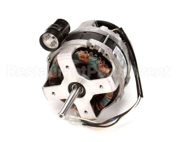 301090 Robot Coupe R301 Dice Motor 120V