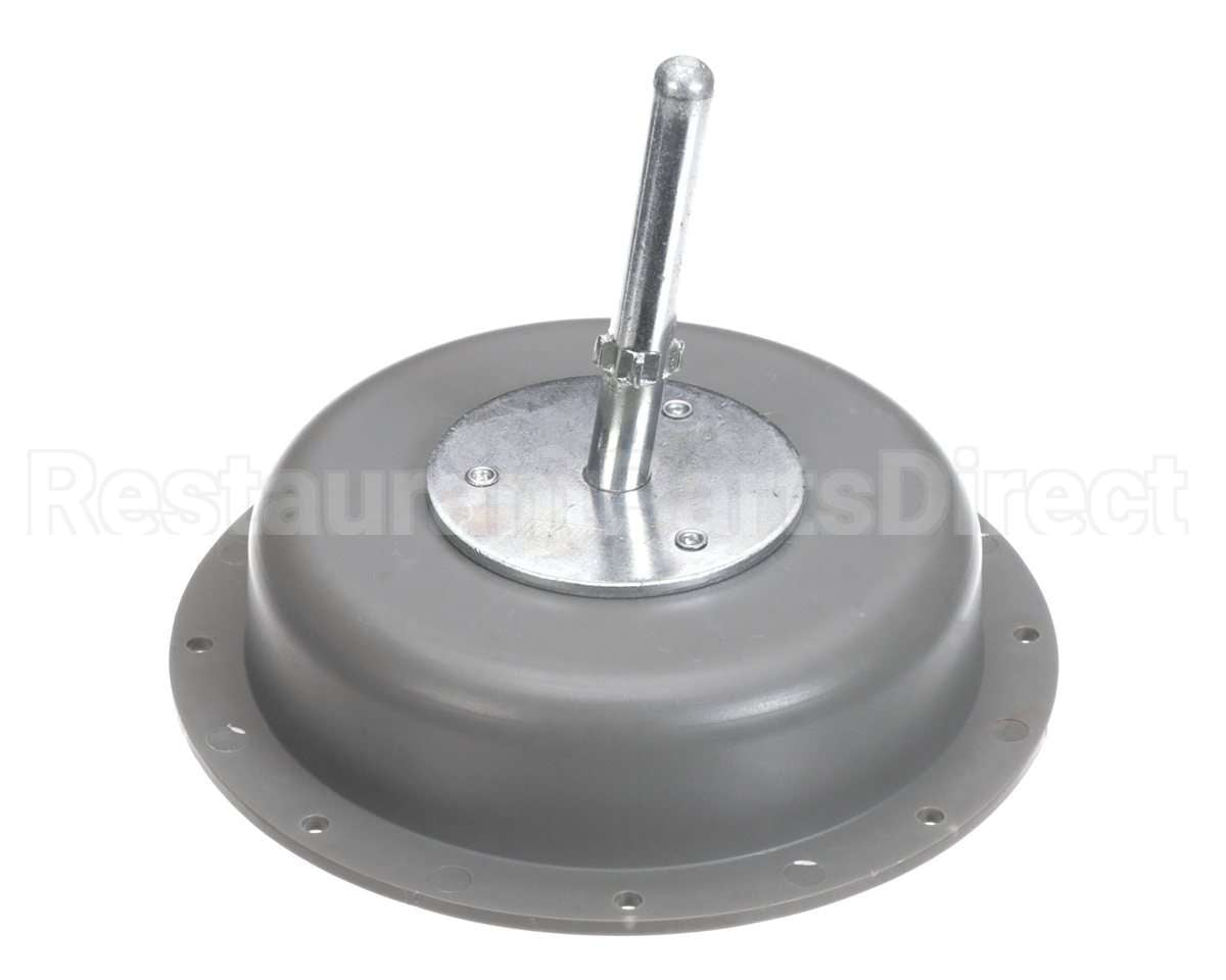 302 Imperial Brown Inside Release