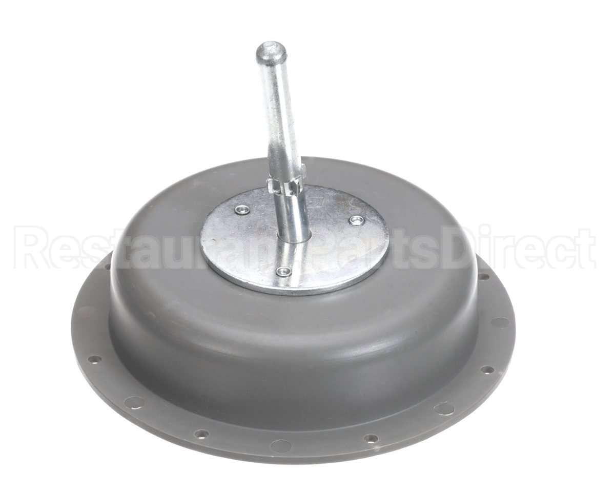 302 Imperial Brown Inside Release