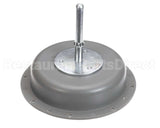 302 Imperial Brown Inside Release