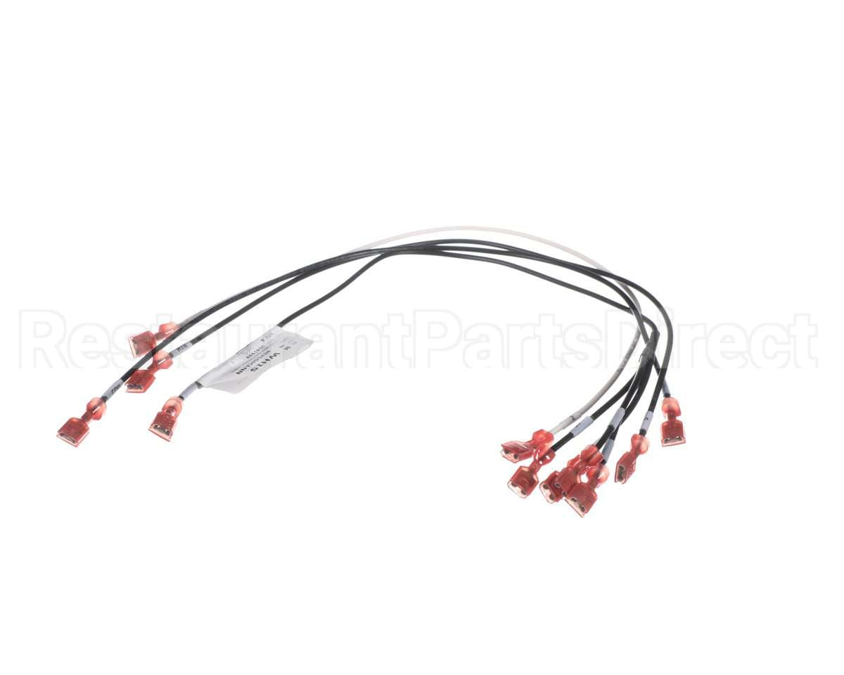 3041994 Hussmann Harness-Rtn400 Isf