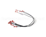 3041994 Hussmann Harness-Rtn400 Isf