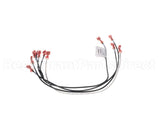 3041994 Hussmann Harness-Rtn400 Isf