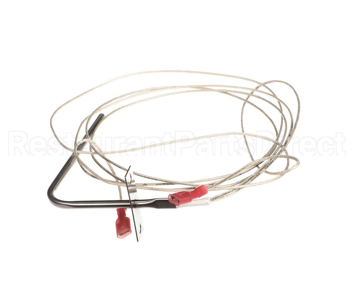 305990008 Atosa Temp Probe