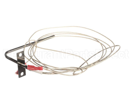 305990008 Atosa Temp Probe