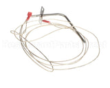 305990008 Atosa Temp Probe