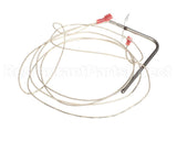 305990008 Atosa Temp Probe