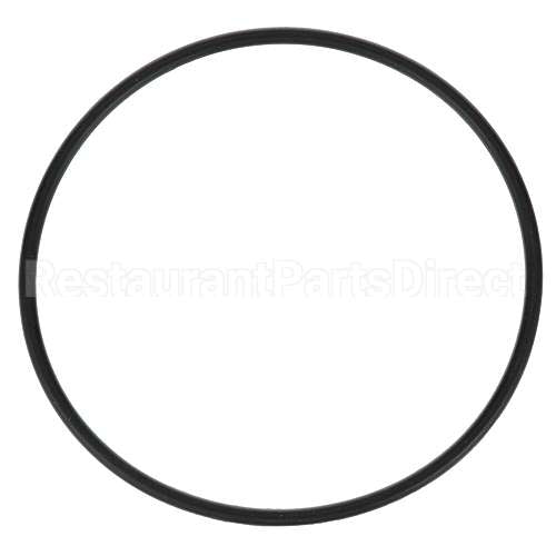 307119 Compatible Everpure O-Ring