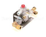 30769-6 Montague Safety Valve Assembly-Lt (24362460