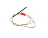 30857 Blodgett Probe,Rtd 500 Ohm T1648